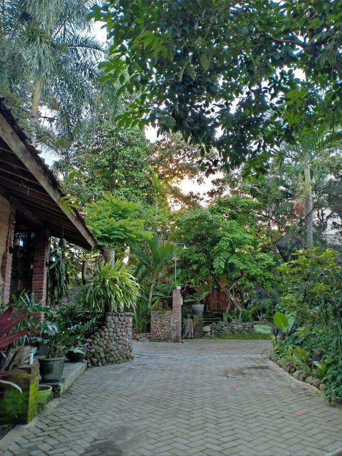 Homestay Bata Merah Banyuwangi (East Java)