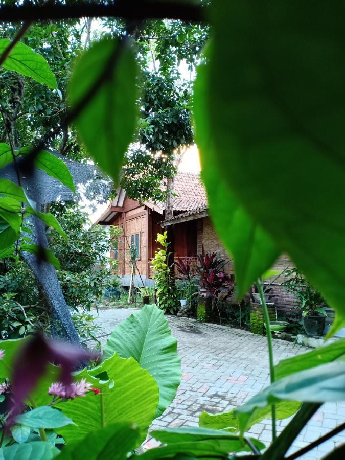 Bata Merah Homestay *