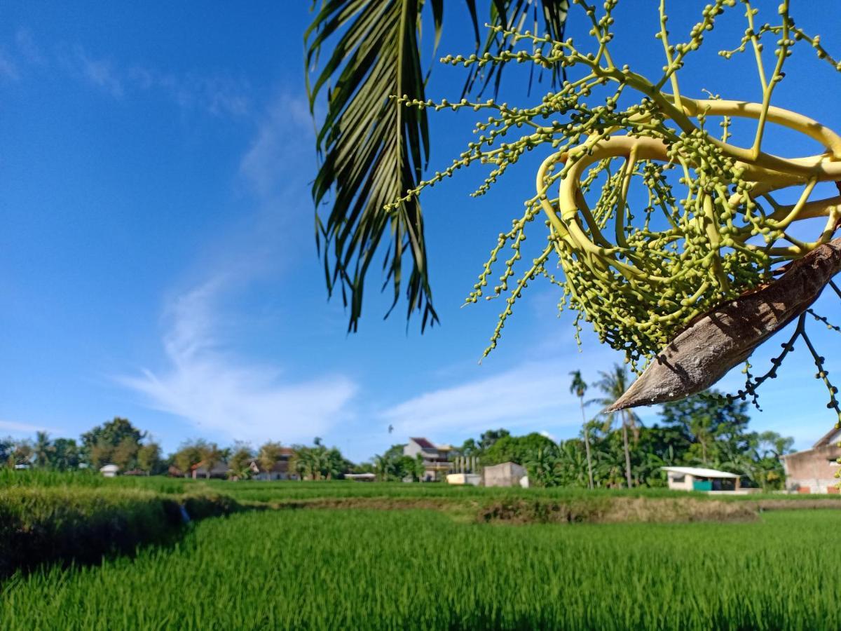 Bata Merah Homestay Banyuwangi (East Java)